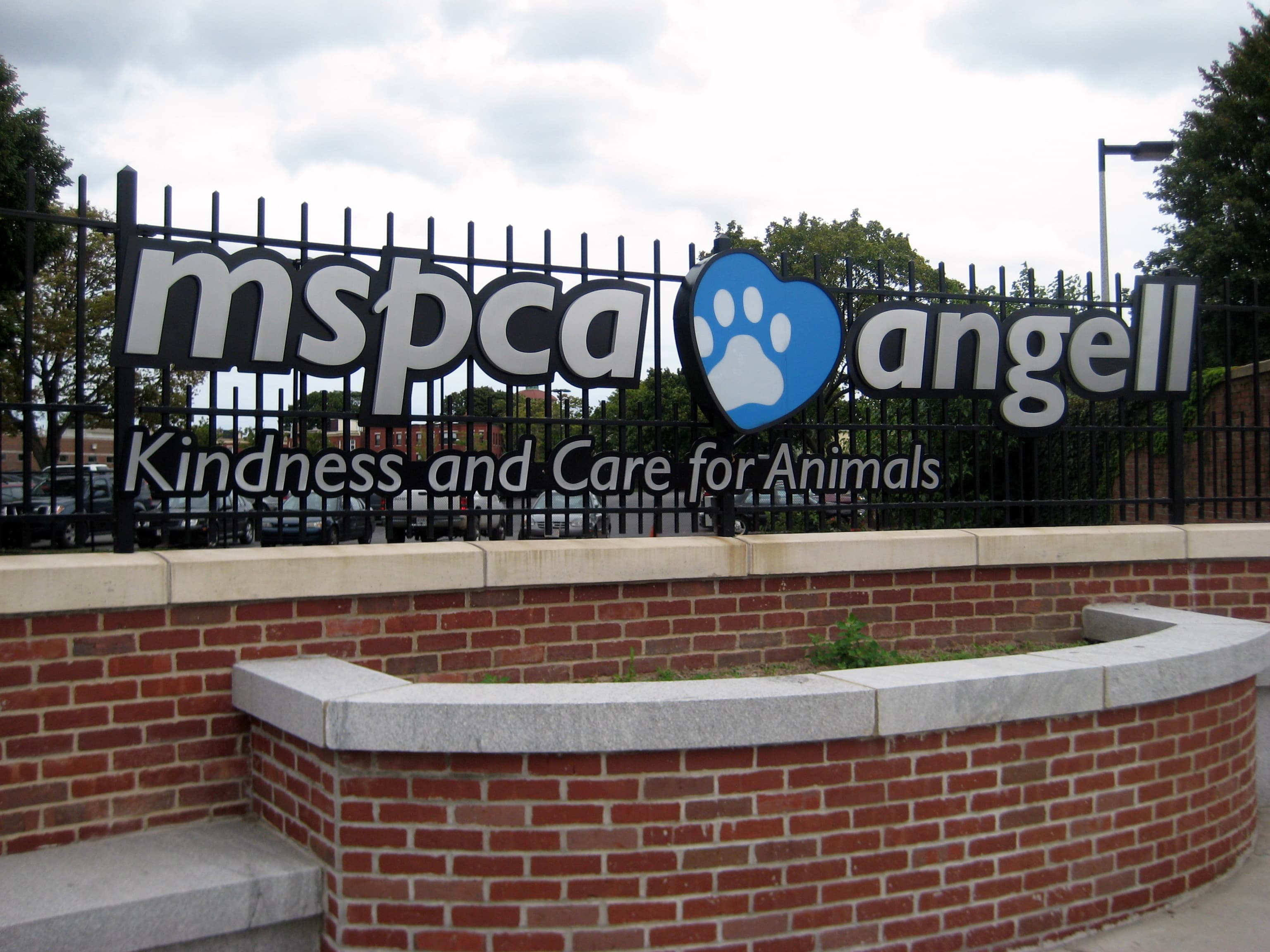 Angell Animal Medical Center