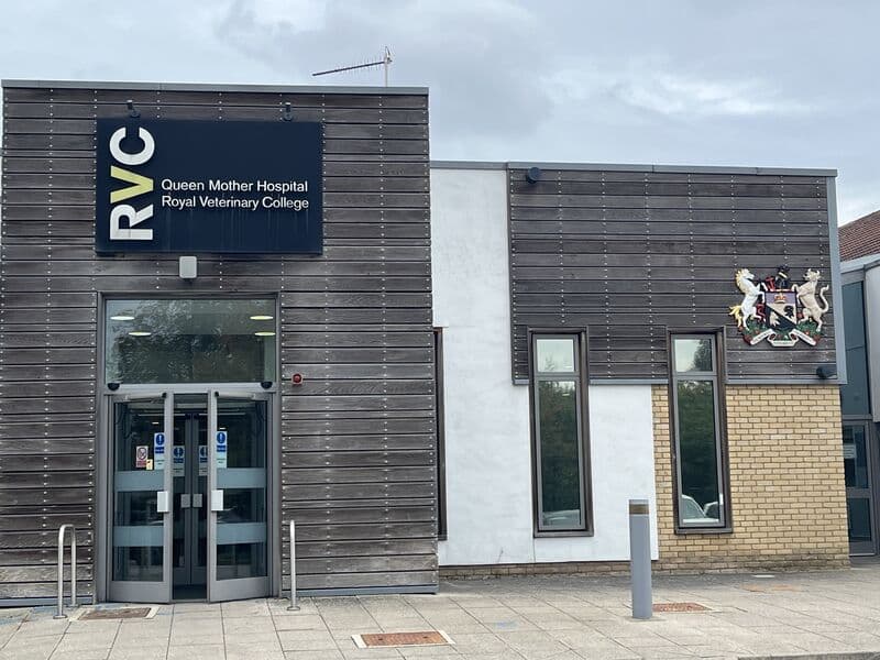 Queen Mother Hospital