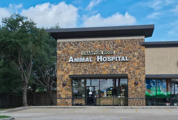 Clinic & Hospital